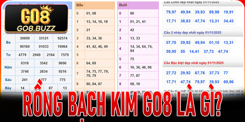 Rồng Bạch Kim Go8 là gì?