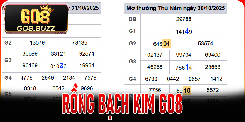 Rồng Bạch Kim Go8