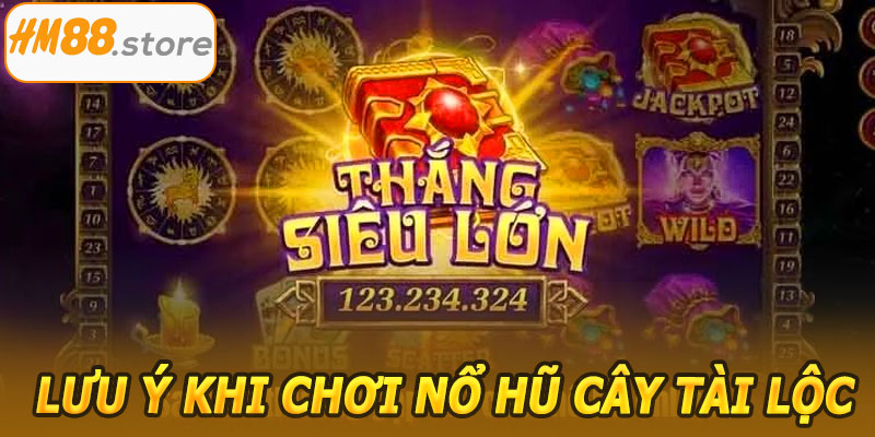 Lưu ý khi chơi Nổ Hũ Cây Tài Lộc HM88